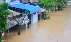 hinh anh tu te trong lu o da nang quang nam