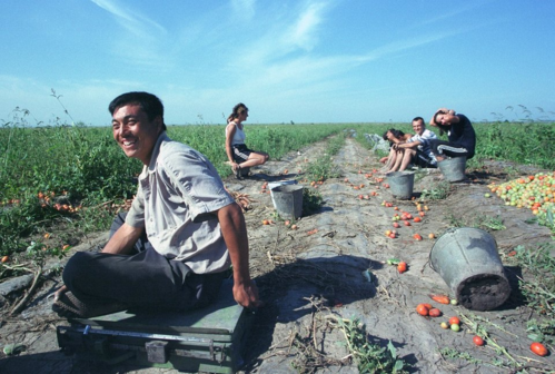 hang trieu nguoi trung quoc roi pho ve que lam nong nghiep