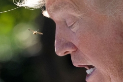 no luc xay dung hinh anh cua trump sau cuon sach tham hoa