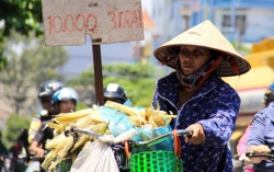 tphcm xuat hien nang nong len toi 40 do vao buoi trua